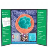 Voyager Mega Tabletop Display with Graphics